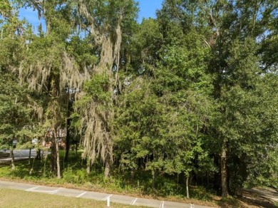 One and a half acre lot with a gorgeous view down the 16th par 4 on The Golf Club At Summerbrooke in Florida - for sale on GolfHomes.com, golf home, golf lot