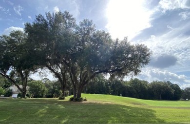 One and a half acre lot with a gorgeous view down the 16th par 4 on The Golf Club At Summerbrooke in Florida - for sale on GolfHomes.com, golf home, golf lot