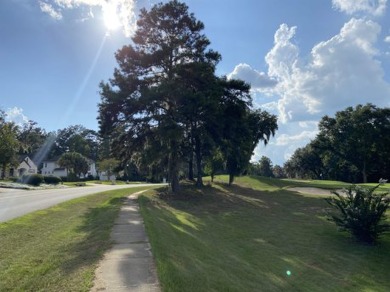 One and a half acre lot with a gorgeous view down the 16th par 4 on The Golf Club At Summerbrooke in Florida - for sale on GolfHomes.com, golf home, golf lot