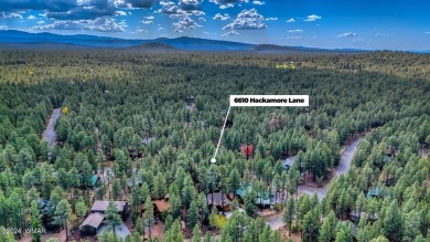 REDUCED PRICE FOR A LUCKY NEW OWNERS!! Nestled among towering on Pinetop Lakes Golf and Country Club in Arizona - for sale on GolfHomes.com, golf home, golf lot