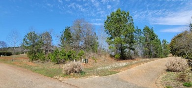 Welcome to 334 Edgewater Trail, a prime .58-acre lot in the on Currahee Golf Club in Georgia - for sale on GolfHomes.com, golf home, golf lot