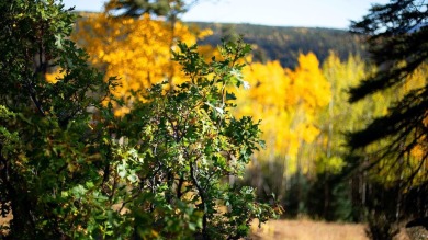 The Ranch at Angel Fire is a rare legacy opportunity to own the on Angel Fire Resort Country Club in New Mexico - for sale on GolfHomes.com, golf home, golf lot