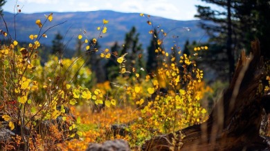 The Ranch at Angel Fire is a rare legacy opportunity to own the on Angel Fire Resort Country Club in New Mexico - for sale on GolfHomes.com, golf home, golf lot