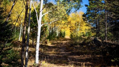 The Ranch at Angel Fire is a rare legacy opportunity to own the on Angel Fire Resort Country Club in New Mexico - for sale on GolfHomes.com, golf home, golf lot