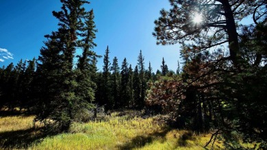 The Ranch at Angel Fire is a rare legacy opportunity to own the on Angel Fire Resort Country Club in New Mexico - for sale on GolfHomes.com, golf home, golf lot