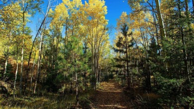 The Ranch at Angel Fire is a rare legacy opportunity to own the on Angel Fire Resort Country Club in New Mexico - for sale on GolfHomes.com, golf home, golf lot
