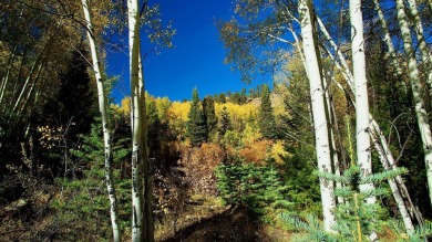 The Ranch at Angel Fire is a rare legacy opportunity to own the on Angel Fire Resort Country Club in New Mexico - for sale on GolfHomes.com, golf home, golf lot