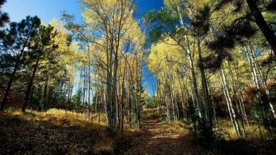 The Ranch at Angel Fire is a rare legacy opportunity to own the on Angel Fire Resort Country Club in New Mexico - for sale on GolfHomes.com, golf home, golf lot