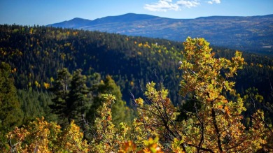 The Ranch at Angel Fire is a rare legacy opportunity to own the on Angel Fire Resort Country Club in New Mexico - for sale on GolfHomes.com, golf home, golf lot