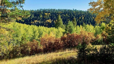The Ranch at Angel Fire is a rare legacy opportunity to own the on Angel Fire Resort Country Club in New Mexico - for sale on GolfHomes.com, golf home, golf lot
