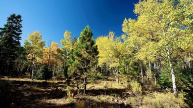 The Ranch at Angel Fire is a rare legacy opportunity to own the on Angel Fire Resort Country Club in New Mexico - for sale on GolfHomes.com, golf home, golf lot