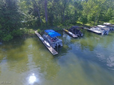 Don't miss this opportunity to own a fully updated 2-bedroom on Atwood Lake Resort Golf Course in Ohio - for sale on GolfHomes.com, golf home, golf lot
