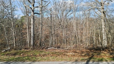 Exceptional lot with community property behind the lot and on Bella Vista Country Club - Scottsdale in Arkansas - for sale on GolfHomes.com, golf home, golf lot