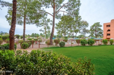 This updated, perfectly situated condo in the desirable Paradise on Stonecreek Golf Club in Arizona - for sale on GolfHomes.com, golf home, golf lot