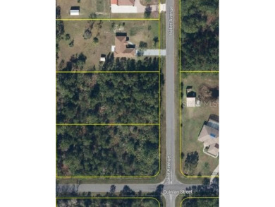 Get away from the crowded city- plus be half way between Orlando on Wedgefield Golf Club in Florida - for sale on GolfHomes.com, golf home, golf lot