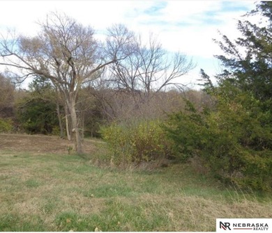 Ryan Van Roy, M: , ryanvanroy,   - This lot is listed under on Lake Ridge Country Club in Nebraska - for sale on GolfHomes.com, golf home, golf lot