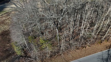 Build your dream home on this .78-acre homesite featuring on Sevierville Golf Club in Tennessee - for sale on GolfHomes.com, golf home, golf lot