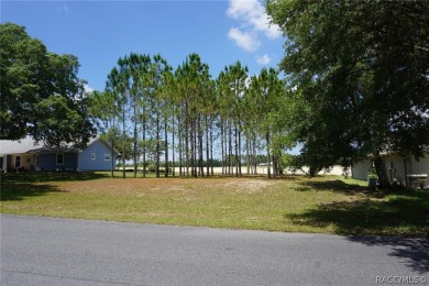 BUILD YOUR NEW HOME IN BRENTWOOD!  Bring your plans and ideas on Brentwood Farms Golf Club in Florida - for sale on GolfHomes.com, golf home, golf lot