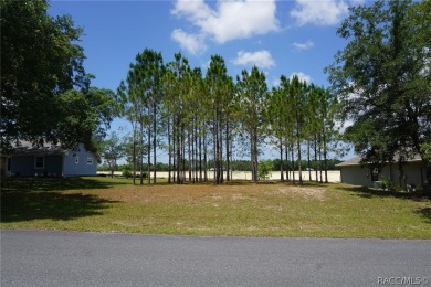 BUILD YOUR NEW HOME IN BRENTWOOD!  Bring your plans and ideas on Brentwood Farms Golf Club in Florida - for sale on GolfHomes.com, golf home, golf lot