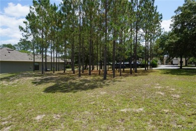 BUILD YOUR NEW HOME IN BRENTWOOD!  Bring your plans and ideas on Brentwood Farms Golf Club in Florida - for sale on GolfHomes.com, golf home, golf lot