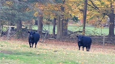 Wonderful original owner colonial ready for a new generation to on Fowlers Mill Golf Course in Ohio - for sale on GolfHomes.com, golf home, golf lot