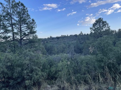 Nice Lot With Plenty Of Trees And Minimal Views.  Close To The on Timberon Golf Course in New Mexico - for sale on GolfHomes.com, golf home, golf lot