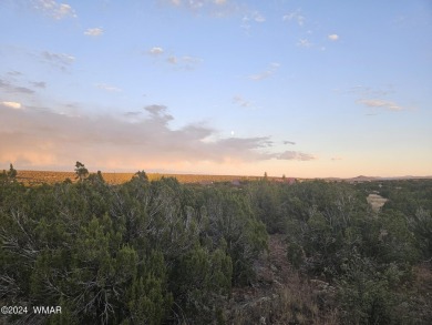 Great Views! This 1.25 acre lot is located in White Mountain on Silver Creek Golf Club in Arizona - for sale on GolfHomes.com, golf home, golf lot