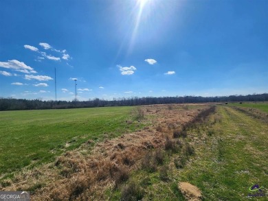 This exceptional property offers a prime location in the heart on Woods Golf Course in Georgia - for sale on GolfHomes.com, golf home, golf lot