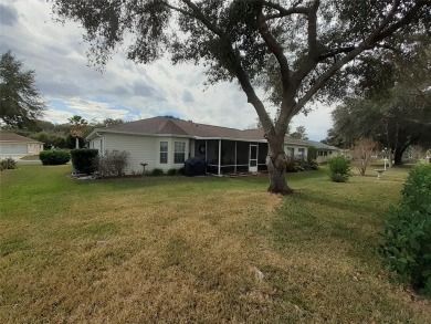 Welcome to Spruce Creek Preserve, a premier 55+ community on Preserve Golf Club in Florida - for sale on GolfHomes.com, golf home, golf lot