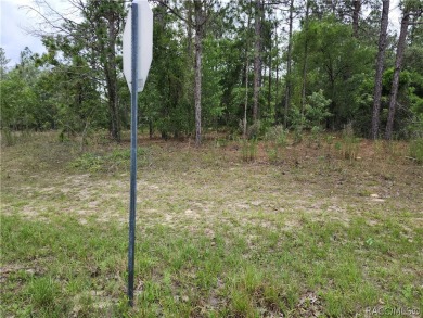 REDUCED!!  .29 acre CORNER lot/homesite that is ready to build on Citrus Springs Country Club in Florida - for sale on GolfHomes.com, golf home, golf lot