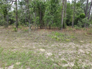 REDUCED!!  .29 acre CORNER lot/homesite that is ready to build on Citrus Springs Country Club in Florida - for sale on GolfHomes.com, golf home, golf lot