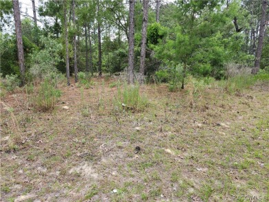 REDUCED!!  .29 acre CORNER lot/homesite that is ready to build on Citrus Springs Country Club in Florida - for sale on GolfHomes.com, golf home, golf lot