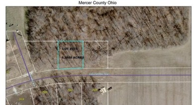 LOT #215 is awaiting its new owner! Build your dream home in the on Lynx Golf Course in Ohio - for sale on GolfHomes.com, golf home, golf lot