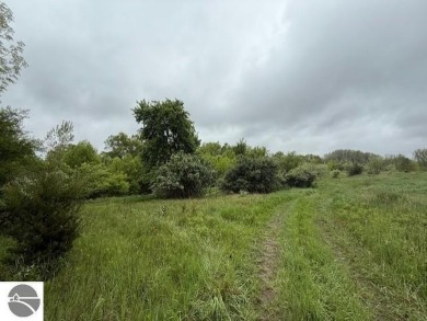 Over 11 acres of future development opportunity or recreation on Hidden Oaks Golf Course in Michigan - for sale on GolfHomes.com, golf home, golf lot