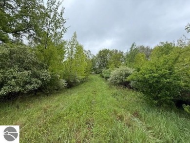 Over 11 acres of future development opportunity or recreation on Hidden Oaks Golf Course in Michigan - for sale on GolfHomes.com, golf home, golf lot