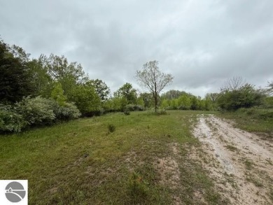 Over 11 acres of future development opportunity or recreation on Hidden Oaks Golf Course in Michigan - for sale on GolfHomes.com, golf home, golf lot