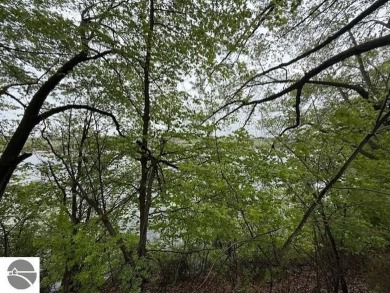 Over 11 acres of future development opportunity or recreation on Hidden Oaks Golf Course in Michigan - for sale on GolfHomes.com, golf home, golf lot