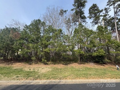 Great building site located in the Glenbrook Springs on Old North State Club at Uwharrie Point Golf community in North Carolina - for sale on GolfHomes.com, golf home, golf lot