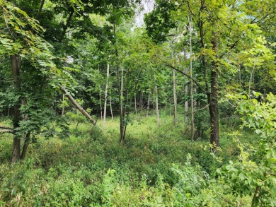 Experience the ultimate in privacy, security, and resort-style on Geneva National Golf Club in Wisconsin - for sale on GolfHomes.com, golf home, golf lot
