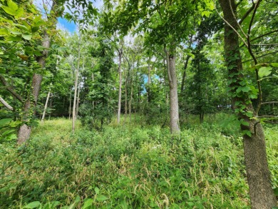 Experience the ultimate in privacy, security, and resort-style on Geneva National Golf Club in Wisconsin - for sale on GolfHomes.com, golf home, golf lot