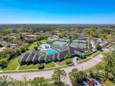 Nestled in the highly desirable Parkside at Lansbrook community on Lansbrook Golf Club in Florida - for sale on GolfHomes.com, golf home, golf lot