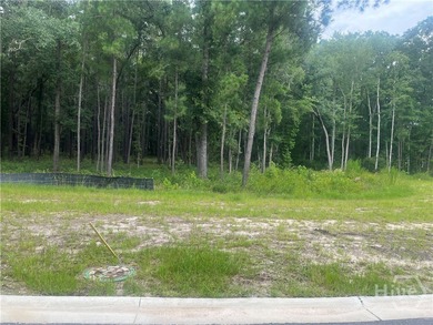 Make your dream of building a custom home a reality, with this on Savannah Quarters Country Club in Georgia - for sale on GolfHomes.com, golf home, golf lot