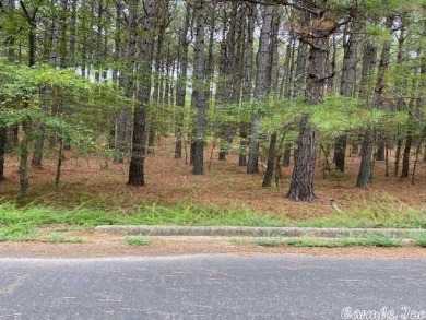 Beautiful Golf Course Lot located on #12 green in Hot Spgs on Diamante Golf and Country Club in Arkansas - for sale on GolfHomes.com, golf home, golf lot
