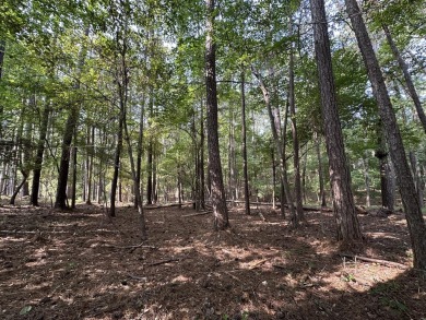 Beautiful 0.30 Acre Residential Lot in the Tara Section of on Monticello Golf Club At Savannah Lakes in South Carolina - for sale on GolfHomes.com, golf home, golf lot