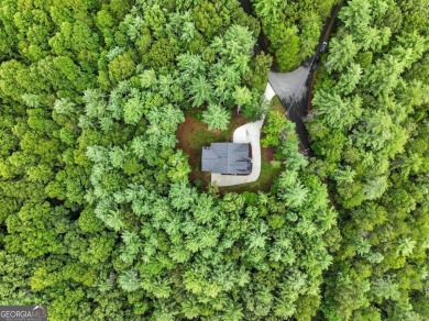 This stunning 4-bedroom, 4-bath home offers the perfect blend of on White Path Golf Club in Georgia - for sale on GolfHomes.com, golf home, golf lot