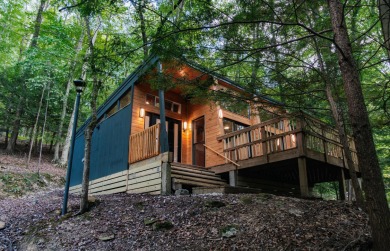 Amid towering hemlocks, this modern cabin reveals the quiet on Hide-A-Way Hills Golf Club in Ohio - for sale on GolfHomes.com, golf home, golf lot