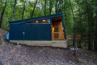 Amid towering hemlocks, this modern cabin reveals the quiet on Hide-A-Way Hills Golf Club in Ohio - for sale on GolfHomes.com, golf home, golf lot