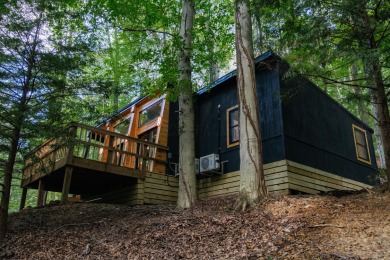 Amid towering hemlocks, this modern cabin reveals the quiet on Hide-A-Way Hills Golf Club in Ohio - for sale on GolfHomes.com, golf home, golf lot