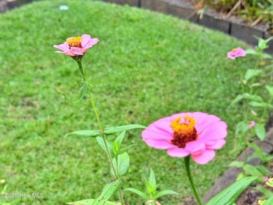 Immaculate Move-In Ready Home in Gated Golf Course Community! on Harbour Point Golf Club in North Carolina - for sale on GolfHomes.com, golf home, golf lot