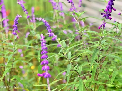 Immaculate Move-In Ready Home in Gated Golf Course Community! on Harbour Point Golf Club in North Carolina - for sale on GolfHomes.com, golf home, golf lot